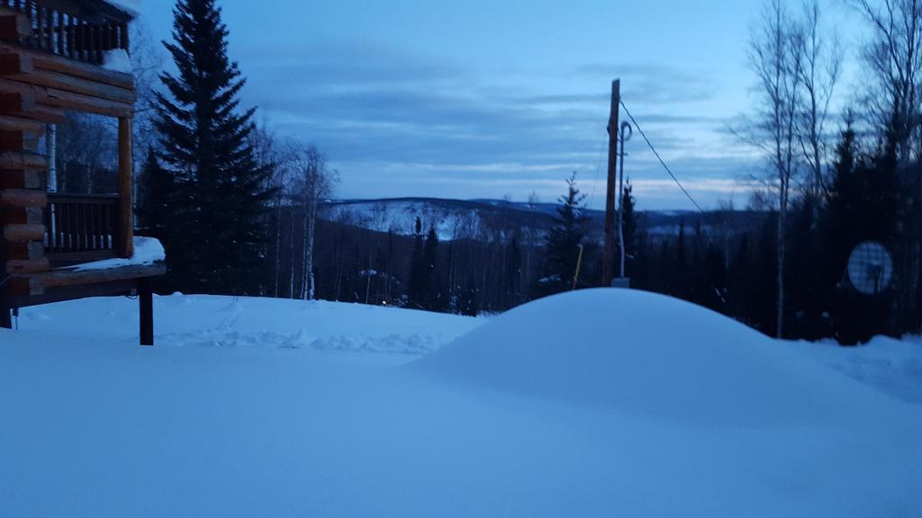 Wildmoon Home Fairbanks Kültér fotó