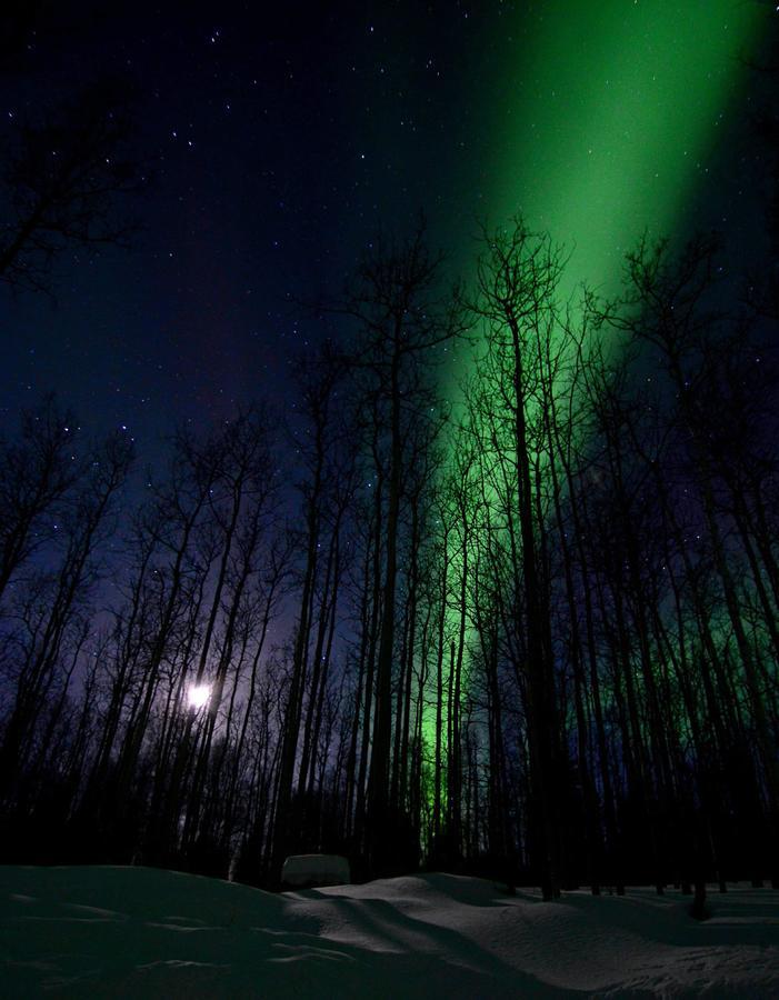 Wildmoon Home Fairbanks Kültér fotó