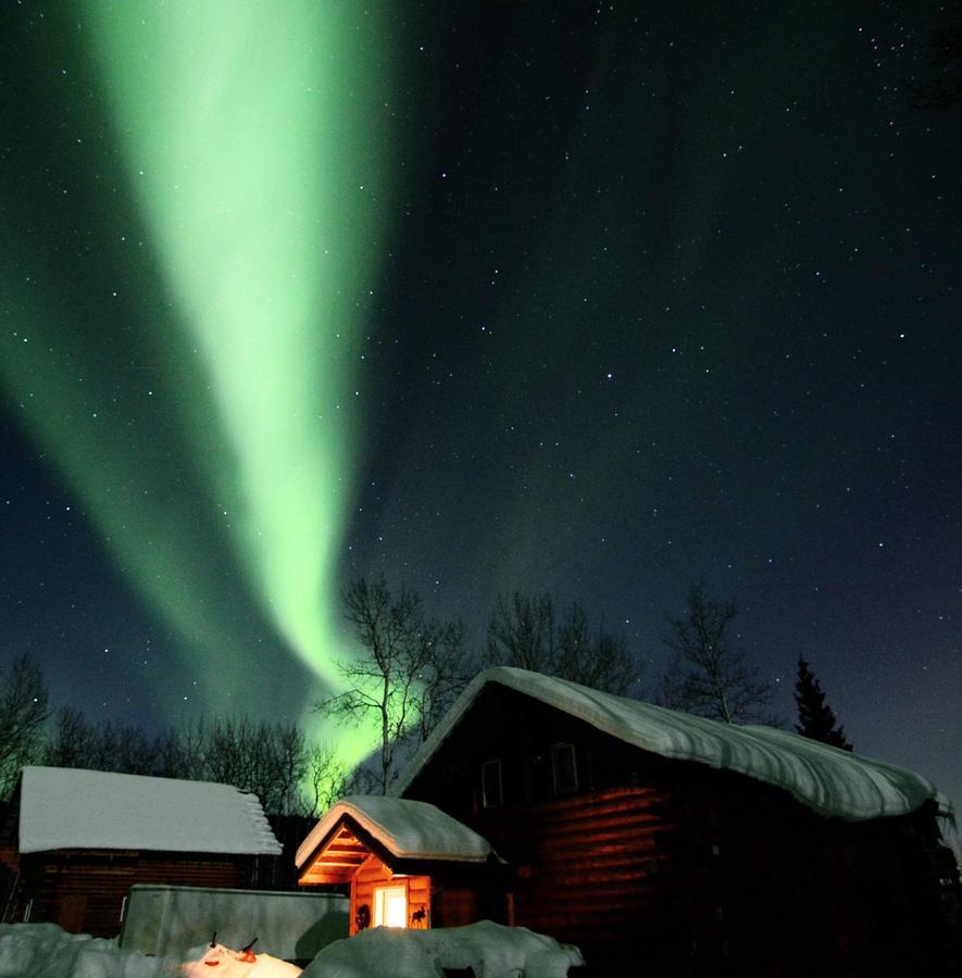 Wildmoon Home Fairbanks Kültér fotó